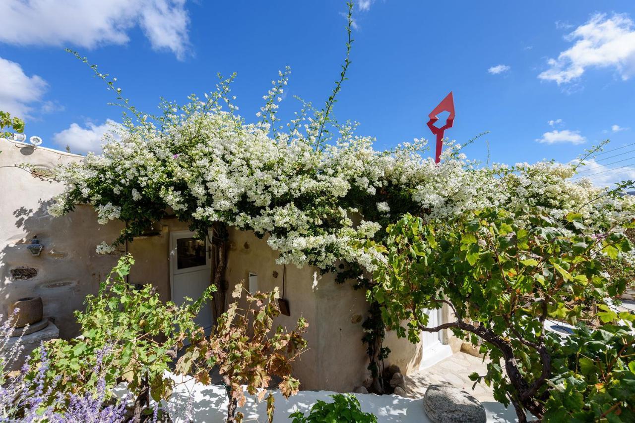 The Olive Mill Guest House Lefkes  المظهر الخارجي الصورة